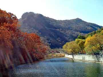 新澳天天开奖资料大全旅游团，我的性史